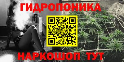 спайс Ливны