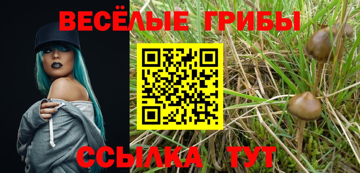 Псилоцибиновые грибы прущие грибы Всеволожск